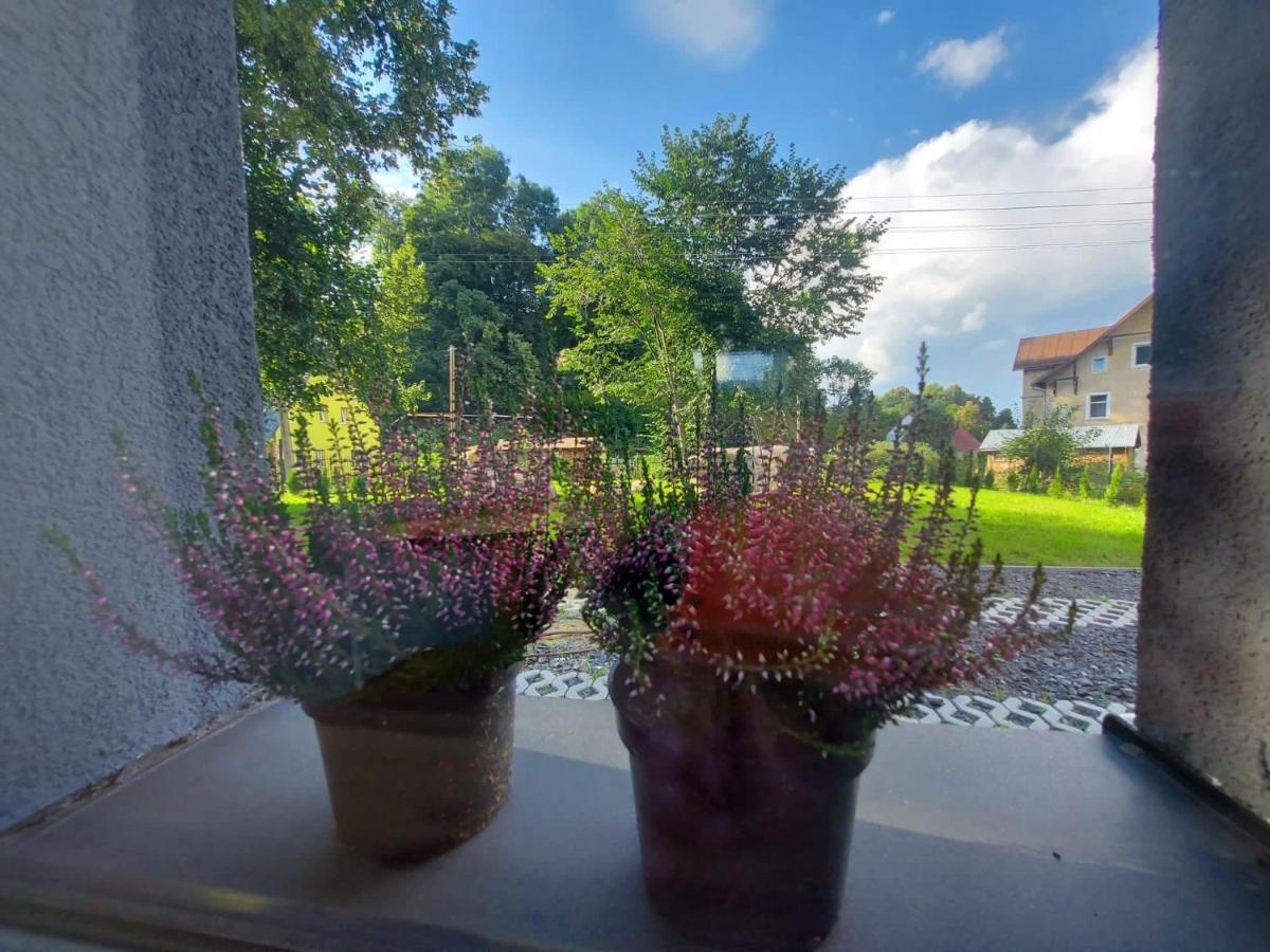 Villa Bryziowka B à Miłków Extérieur photo